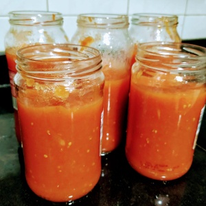 Salsa de tomate BLW